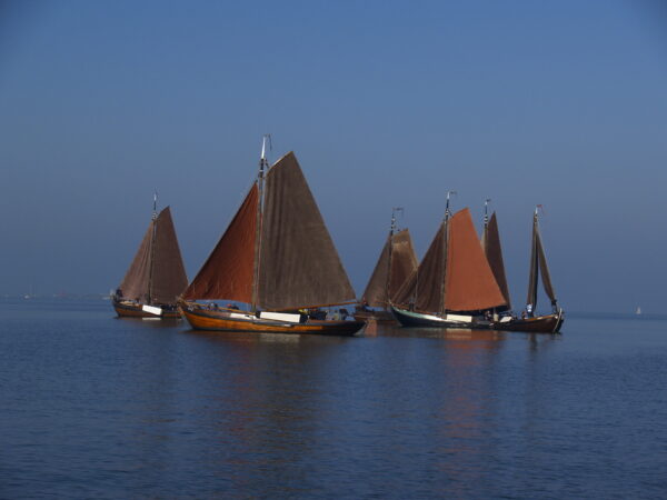 copyright 2008 - nwevorm.nl